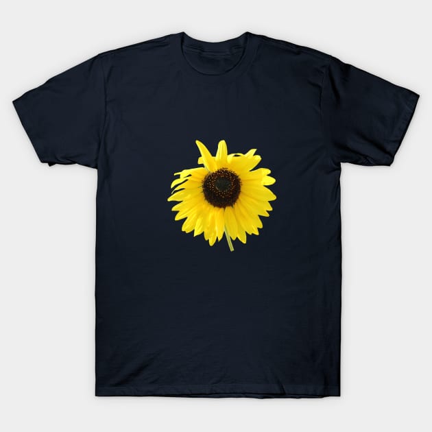 Blooming Sunflower Summer Flower Closeup T-Shirt by oknoki